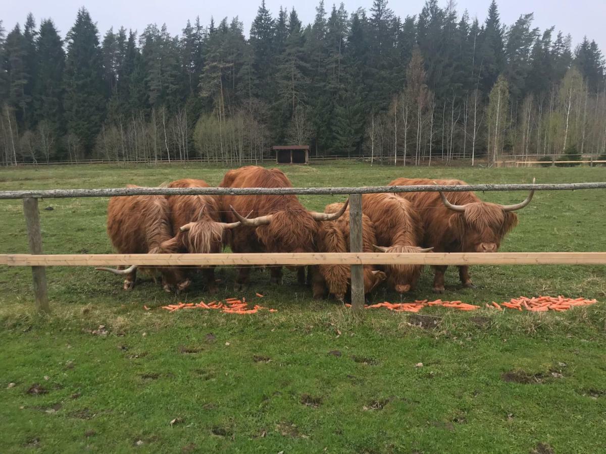Berzi Villa Turkalne Buitenkant foto
